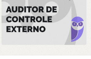 TCE SP Auditor de Controle Externo 2024 - Estratégia